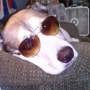 Meet your Posher, Aaron